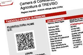 Fascicolo Azienda